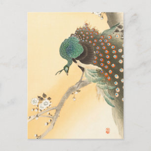 Pfau auf einem Kirschbaum von Ohara Koson Postkarte