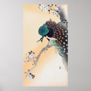 Pfau auf einem Kirschblossom, Ohara Koson Poster