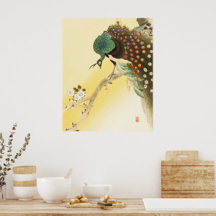 Pfau auf Kirschblossom Poster