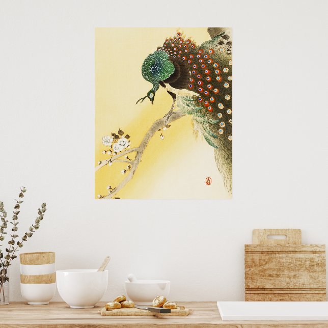 Pfau auf Kirschblossom Poster (Küche)