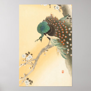 Pfau auf Kirschblütenbaum von Ohara Koson Poster