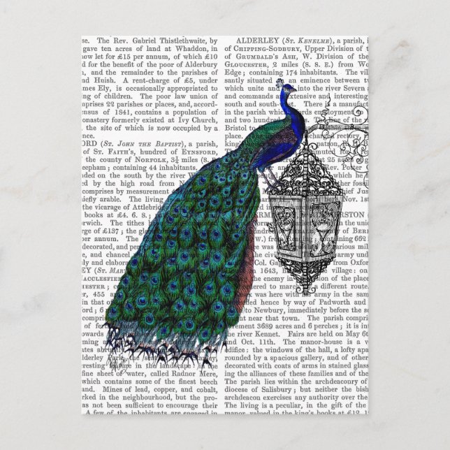 Pfau auf Lamp Postkarte (Vorderseite)
