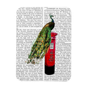 Pfau auf Postbox Magnet