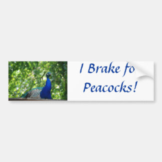Pfau Autoaufkleber