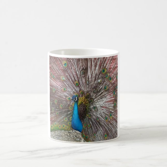 Pfau-Bild Kaffeetasse (Mittel)