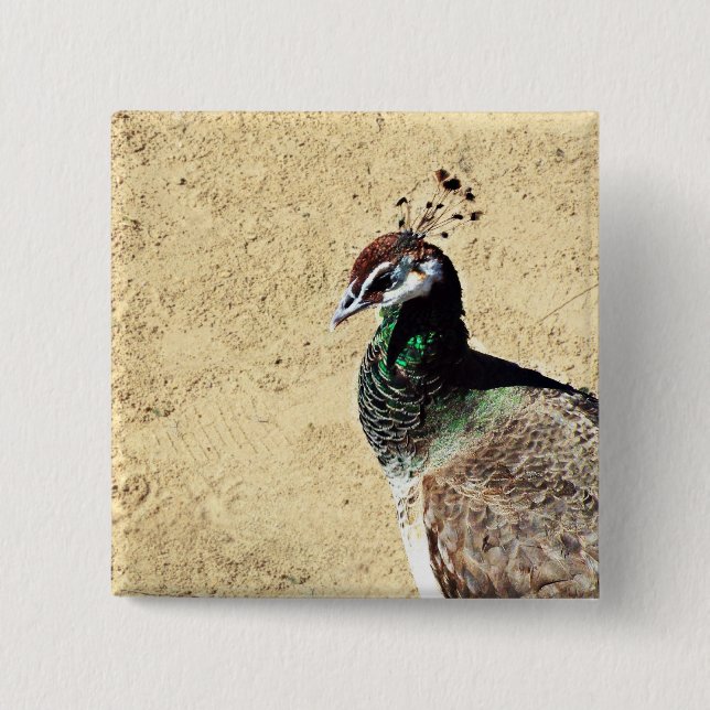 Pfau Button (Vorderseite)