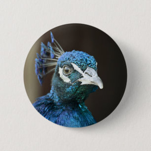 Pfau Button