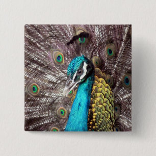 Pfau Button