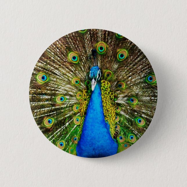 Pfau-Button Button (Vorderseite)