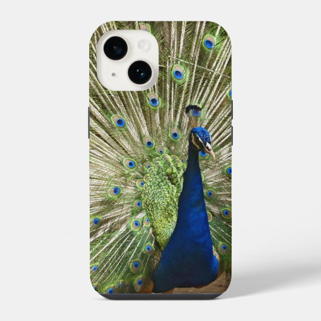 Pfau-Display iPhone Hülle (Rückseite)