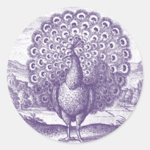 Pfau, eine Vintage Gravur Runder Aufkleber