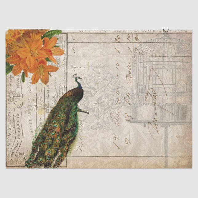 Pfau-Eintagsfliegen Decoupage Seidenpapier (Vorderseite)