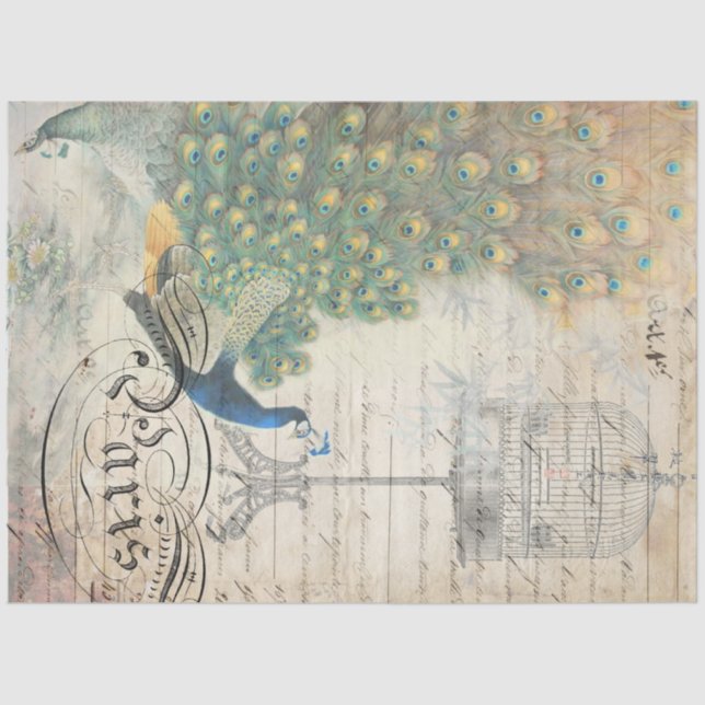 Pfau Ephemera Dekoupage Paper  Seidenpapier (Vorderseite)