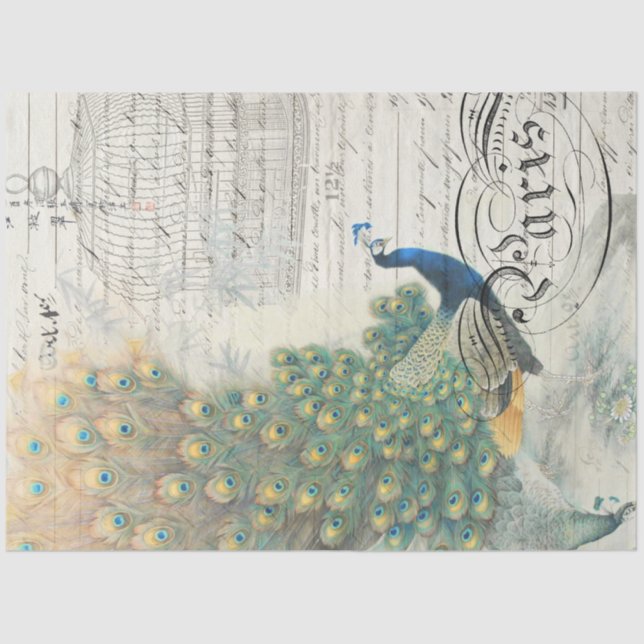 Pfau-Ephemera-Dekoupage Seidenpapier (Vorderseite)