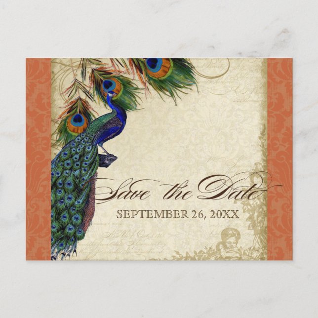 Pfau & Feathers Formal Save the Date Orange Ankündigungspostkarte (Vorderseite)