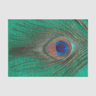 Pfau-Feder auf Grün Seidenpapier