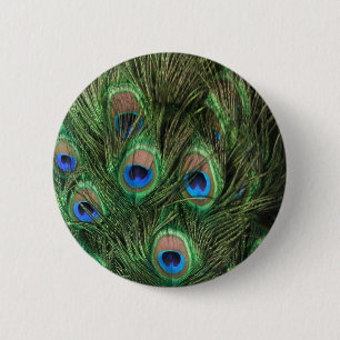 Pfau-Feder-Knopf Button