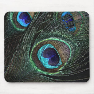 Pfau-Feder Mousepad