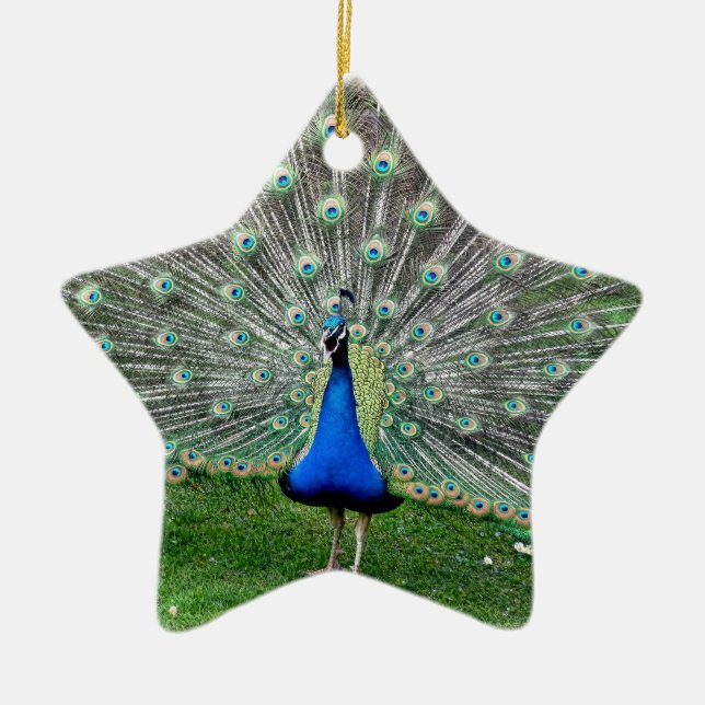Pfau-Feder-Verzierung Keramikornament (Vorne)