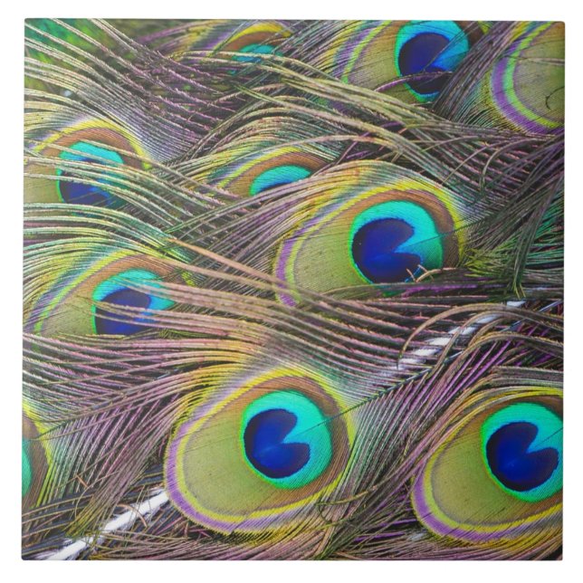 Pfau-Federn Fliese (Vorderseite)