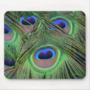 Pfau-Federn Mousepad