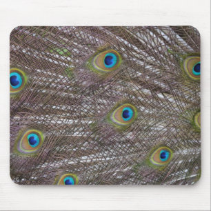 Pfau-Federn Mousepad