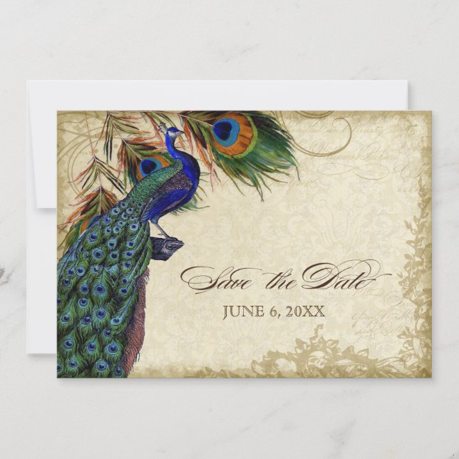 Pfau & Federn "Save the Date" Teefleckig Save The Date (Vorderseite)