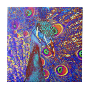 Pfau Fliese