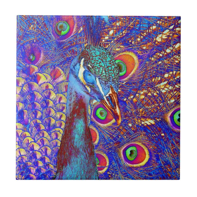 Pfau Fliese (Vorderseite)