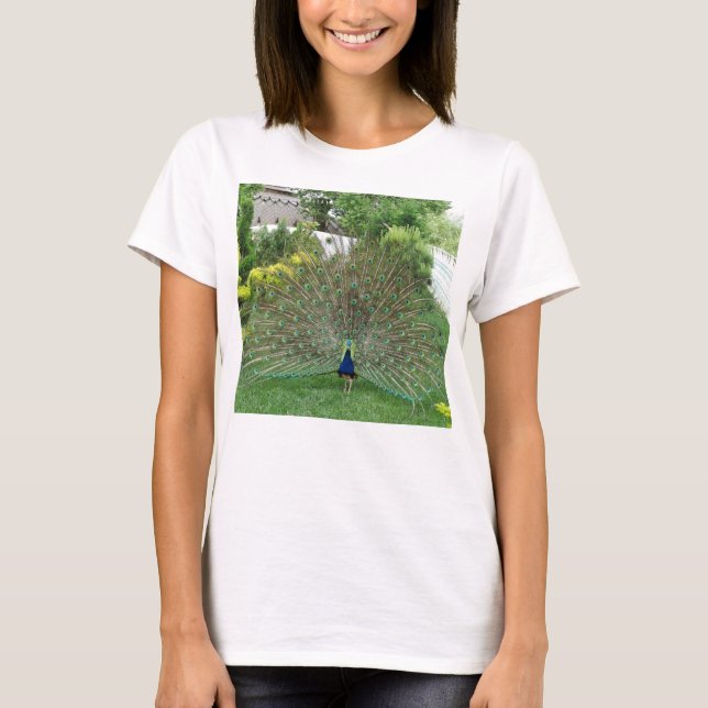 Pfau Foto Frauengrundsatz, Weiß T-Shirt (Vorderseite)