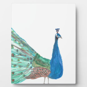 Pfau Fotoplatte