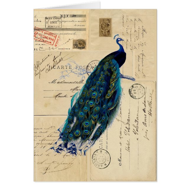 Pfau-französische Postkarten-Karte (Vorne)