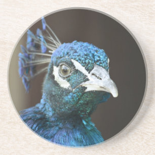 Pfau Getränkeuntersetzer