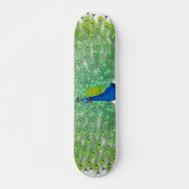 Pfau-großes Blick-Skateboard Skateboard