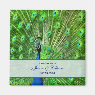 Pfau-Hochzeit Save The Date Magnet