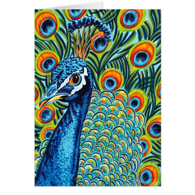 Pfau I (Vorne)