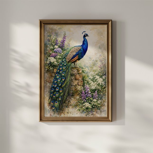 Pfau im Blumen Garten Poster (Von Creator hochgeladen)