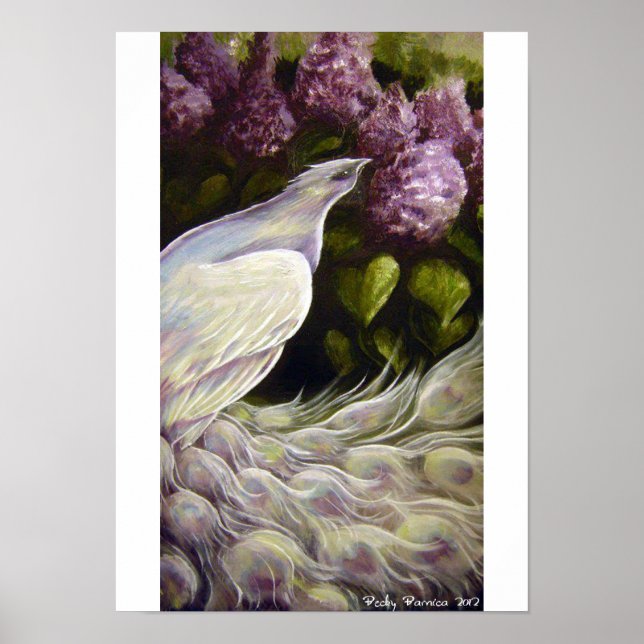 Pfau im Lilacs-Poster Poster (Vorne)