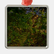 Pfau im Wald (von Abbott Henderson Thayer)