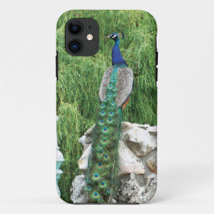 Pfau in einem Garten iPhone Se-Kasten Case-Mate iPhone Hülle