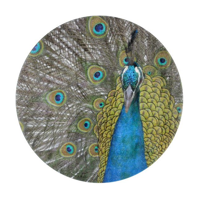 Pfau in Kauai Hawaii Schneidebrett (Vorderseite)