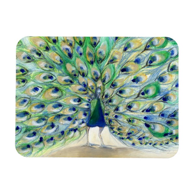 Pfau in San Diego 2013 Magnet (Horizontal)