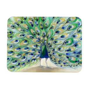 Pfau in San Diego 2 2013 Magnet