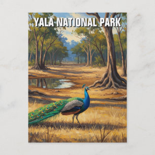 Pfau in Sri Lanka Yala National Park Travel Postkarte
