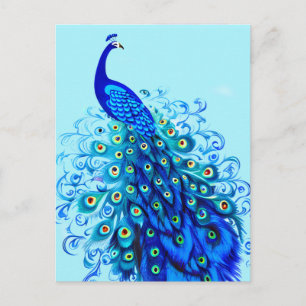 Pfau in Türkis, Cobalt Blue und Aqua Postkarte