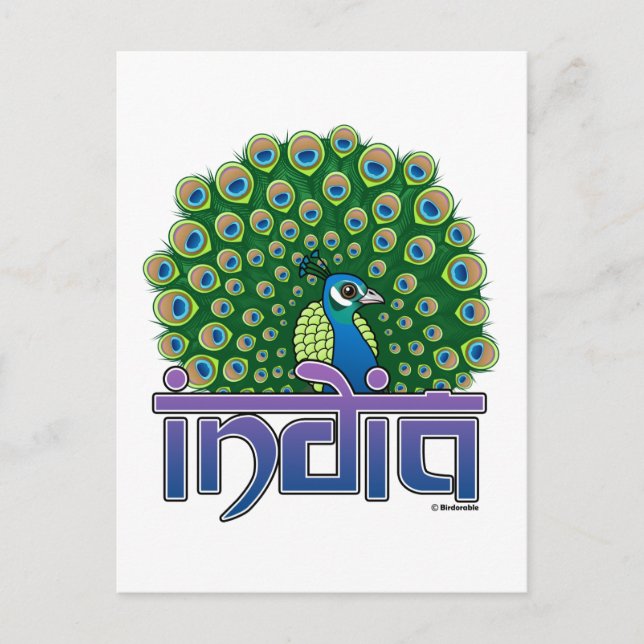 Pfau Indiens Postkarte (Vorderseite)