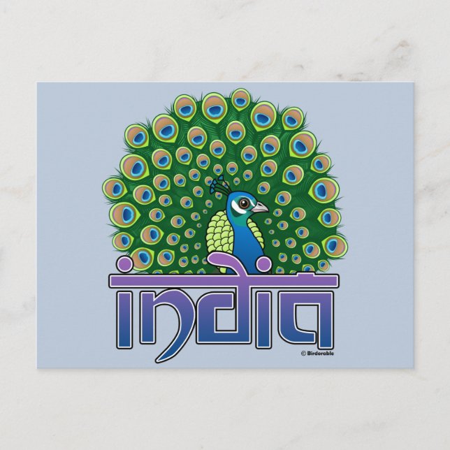 Pfau Indiens Postkarte (Vorderseite)