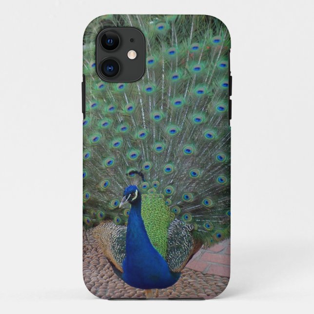 Pfau iPhone 5 Fall Case-Mate iPhone Hülle (Rückseite)