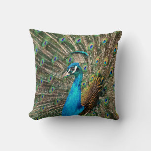 Pfau Kissen