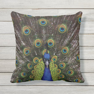 Pfau Kissen
